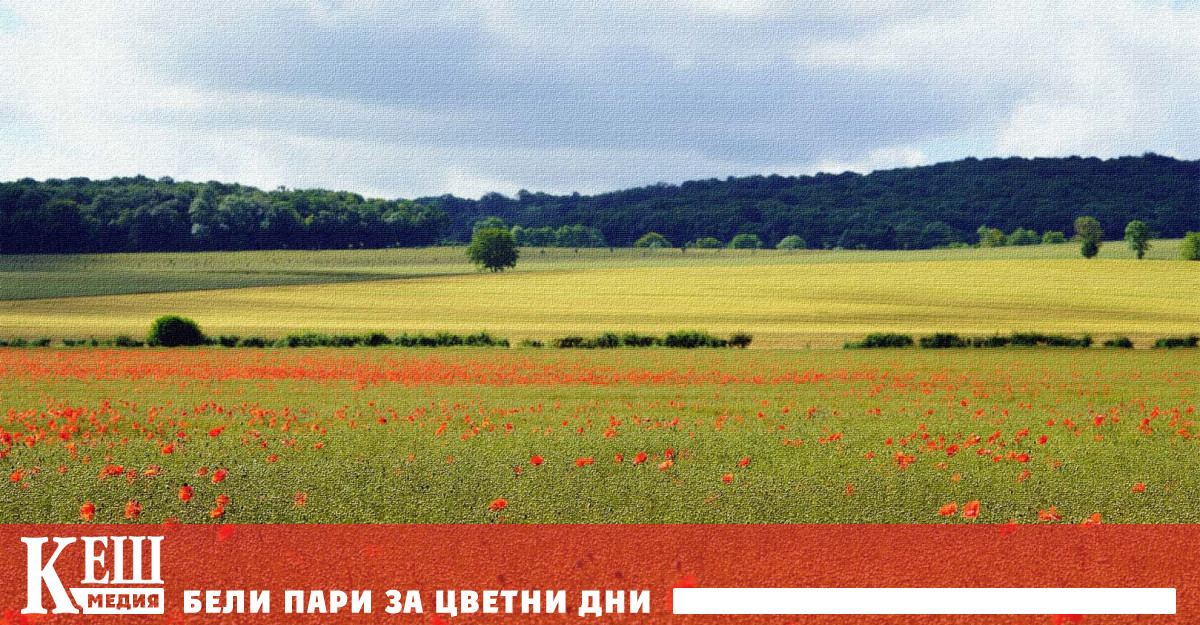 През 2021 г стойността на крайната продукция произведена в селското