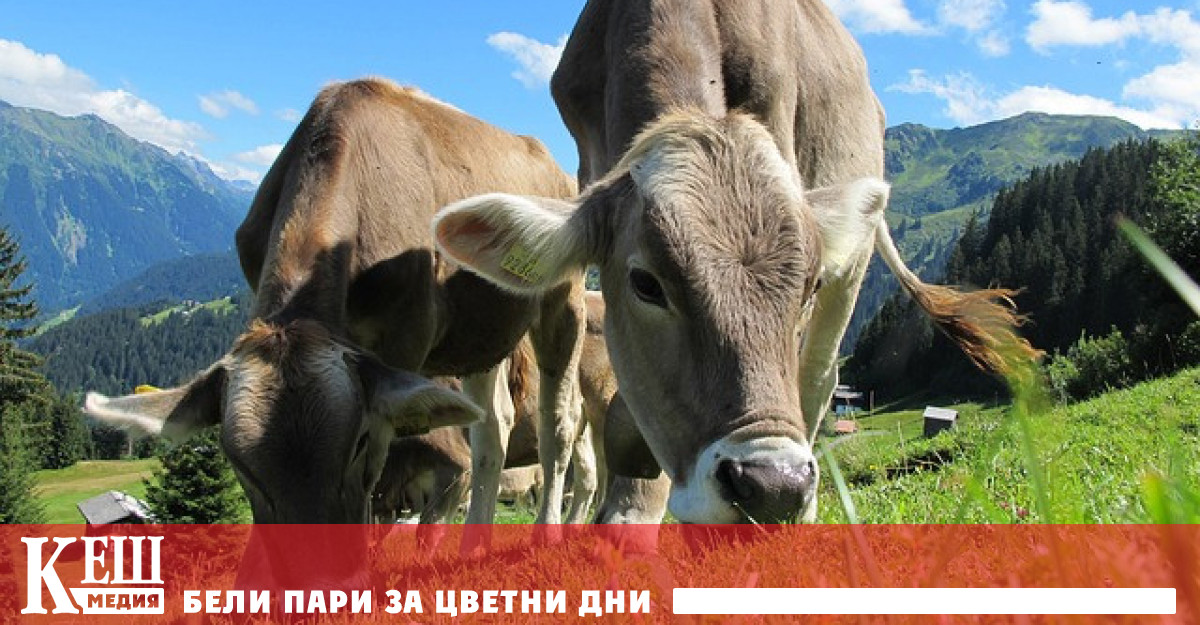 Страната ще бъде първата в света която ще предприеме подобни