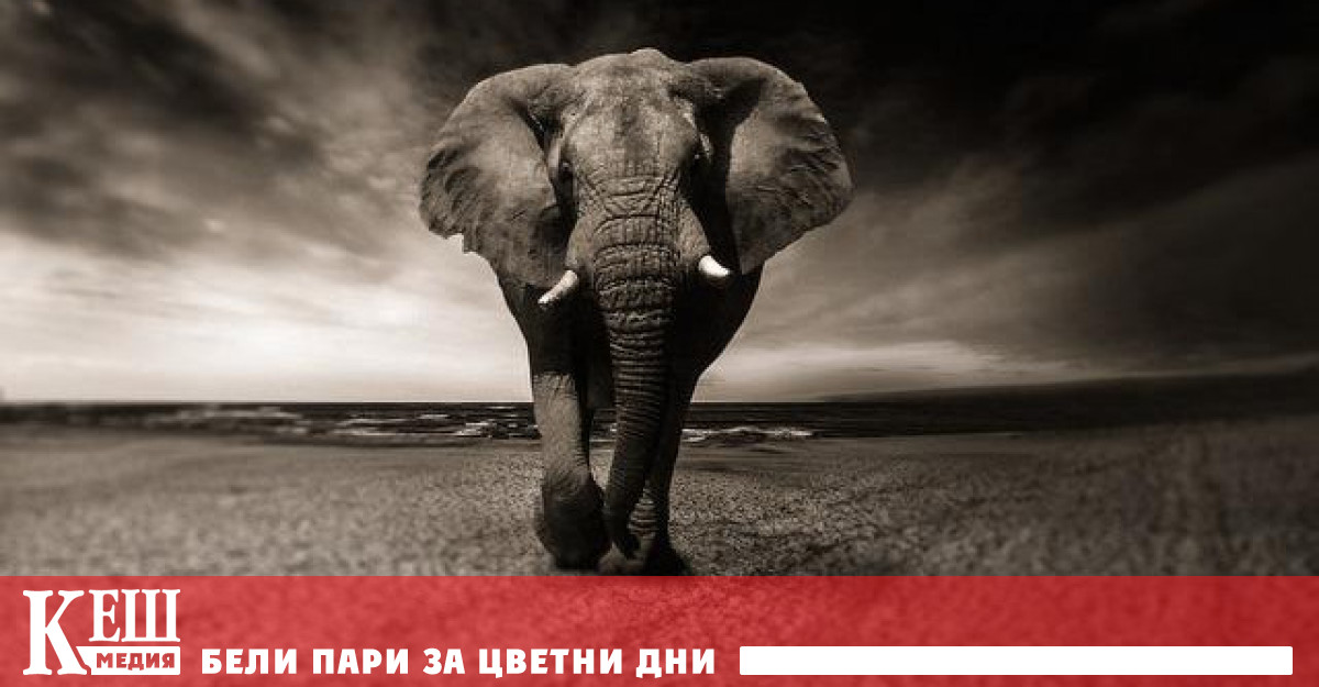 Най голямо намаление с 94 е регистрирано в Латинска