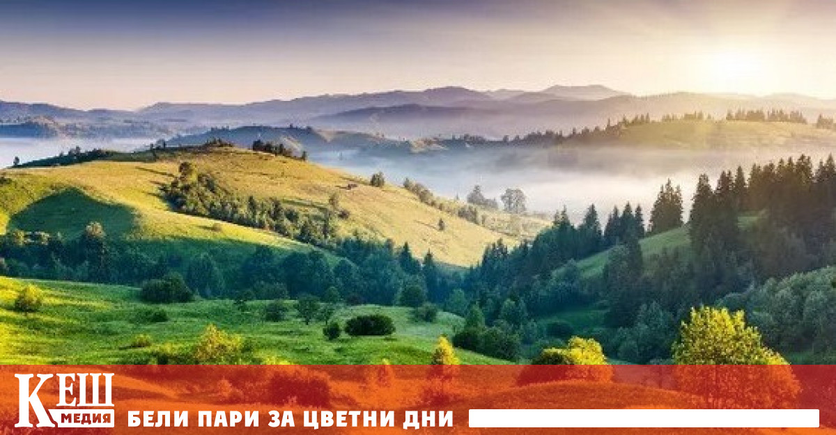 Ръководителят на Световната метеорологична организация към ООН Петтери Таалас заяви