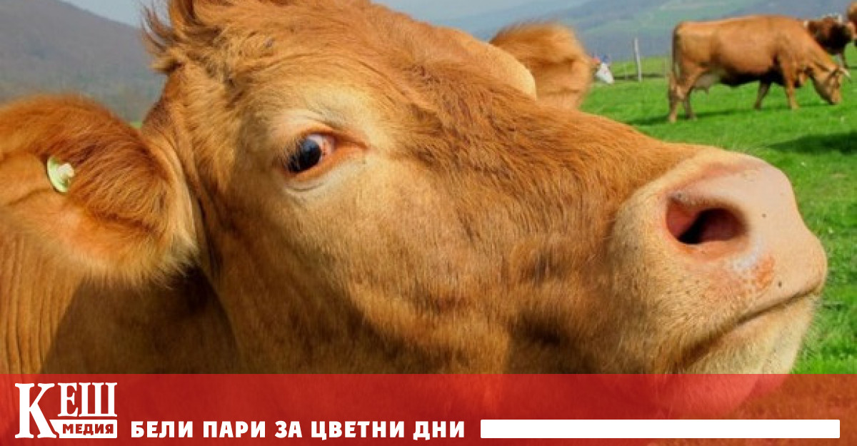 Отбелязва се че изследователите са успели да постигнат този резултат