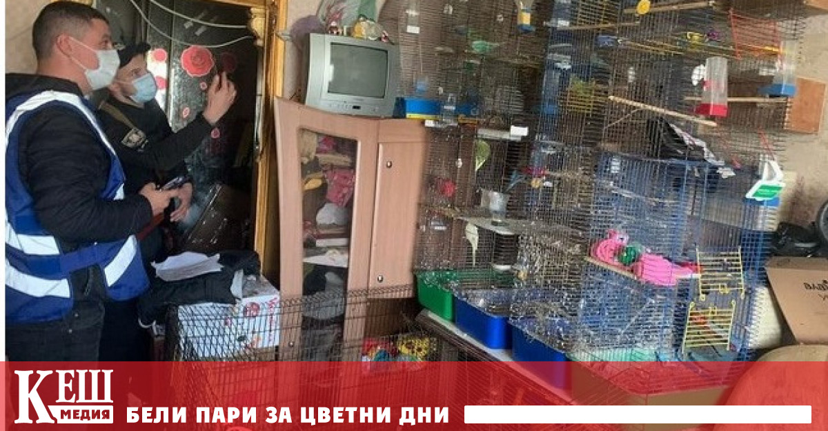 В Киев Украйна 5 годишно момиченце е иззето от семейството поради