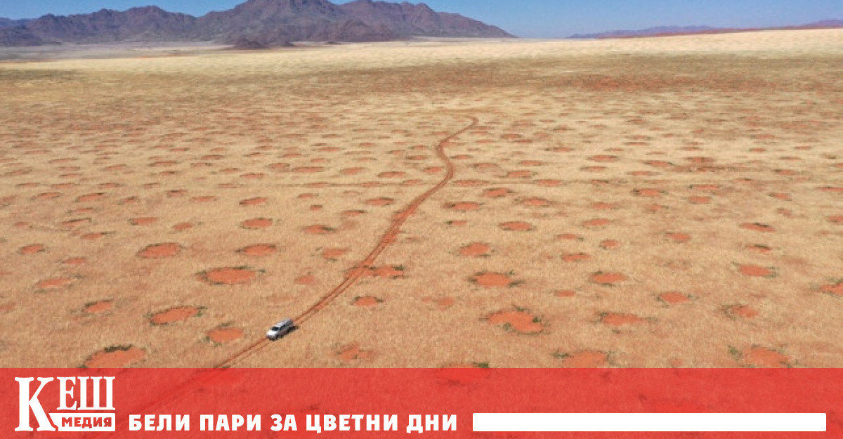 Магическите кръгове на Намибия се наричат кръгли участъци земя без