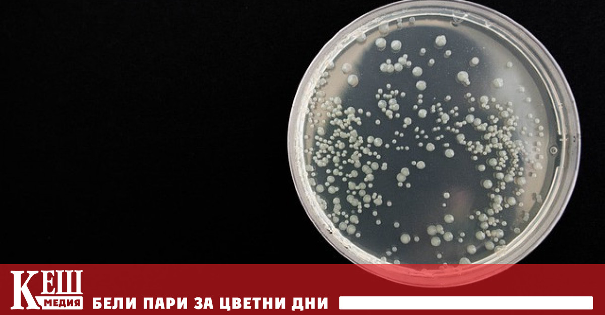 Това съобщава Associated Press Повече от 10 милиона души по света