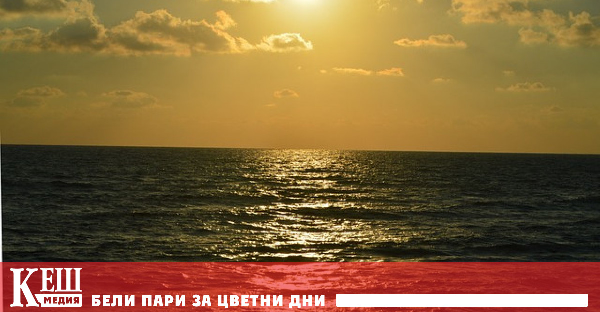 Тази гореща вълна застрашава цялата екосистема Докато водолазите са на