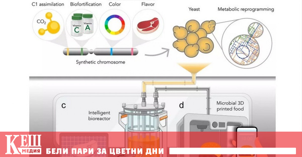 Вземете обикновена мая дрожди и 3D принтер и ще получите космическа