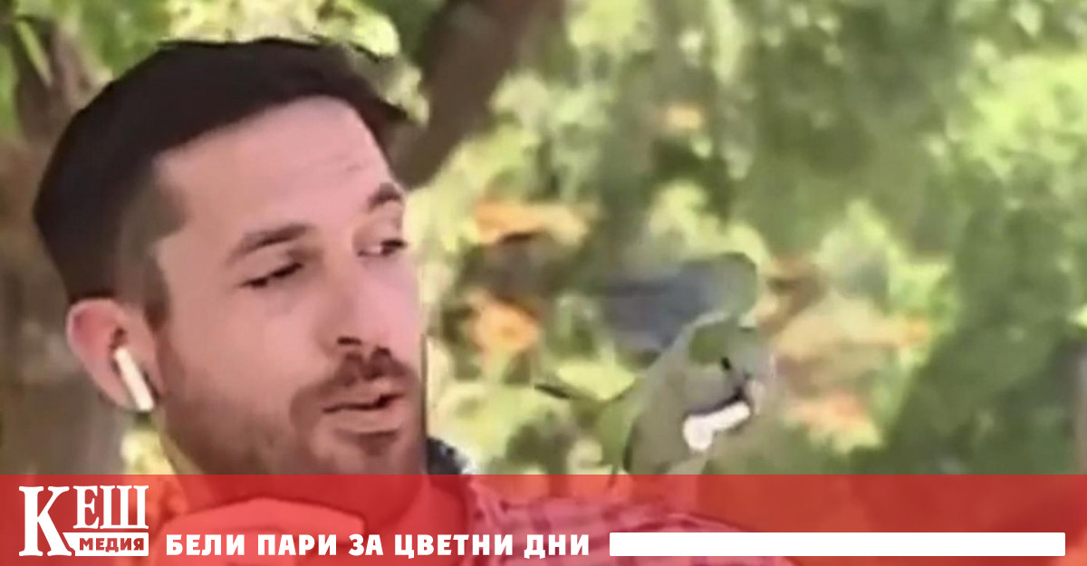 Видеозаписът показва как усещайки общителната птица на рамото си Крум