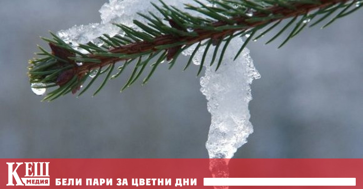 Това предвиждат експерти от службата за изменение на климата на