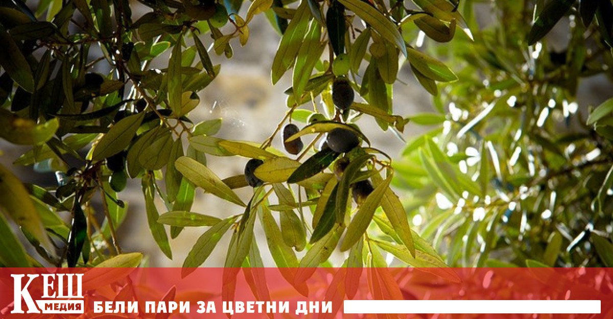 Това съобщава петролната и газова корпорация CEPSA Използването на това усъвършенствано