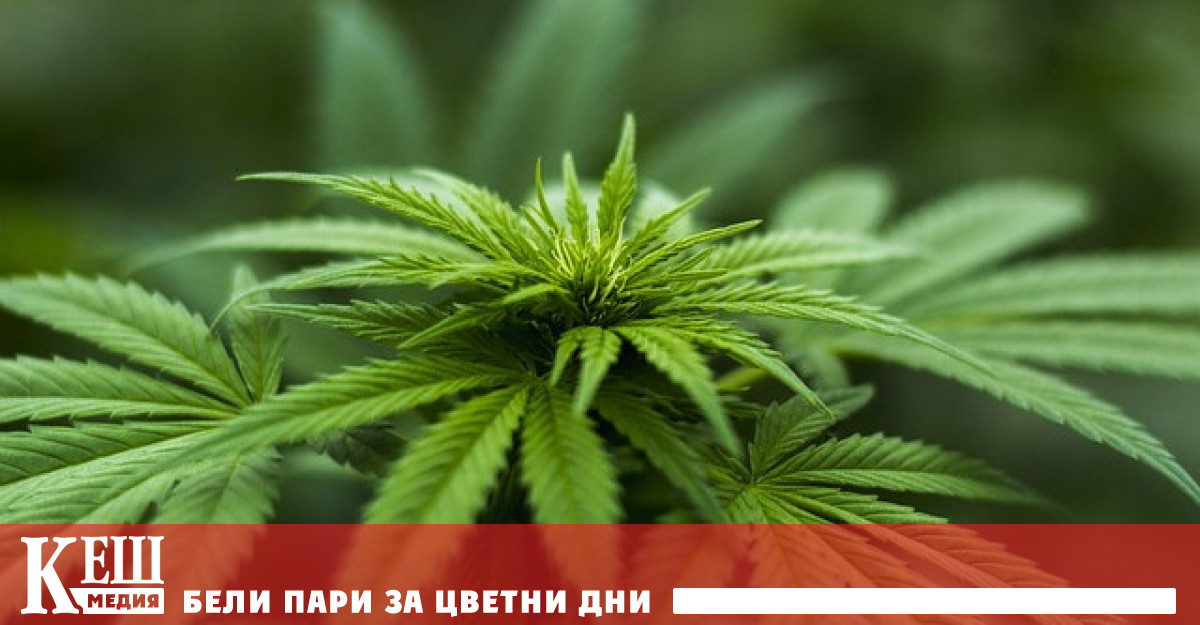 И един от тях е да викаме на помощ