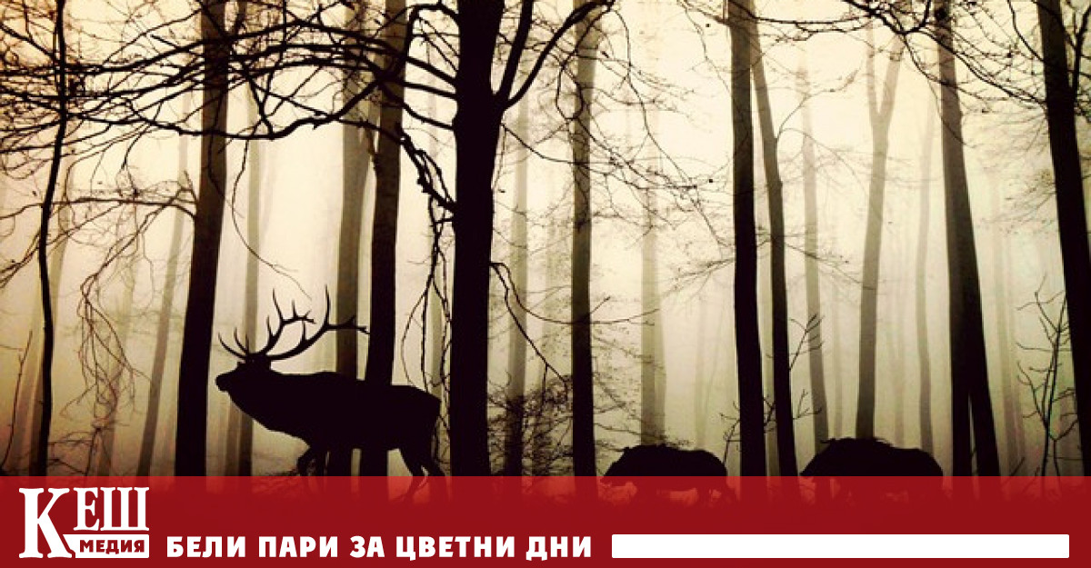 Веднъж приет и влязъл в сила новият закон гарантира че