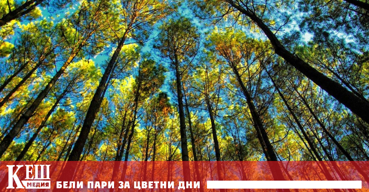 62 млн лв осигурява Оперативна програма Околна среда 2014 –