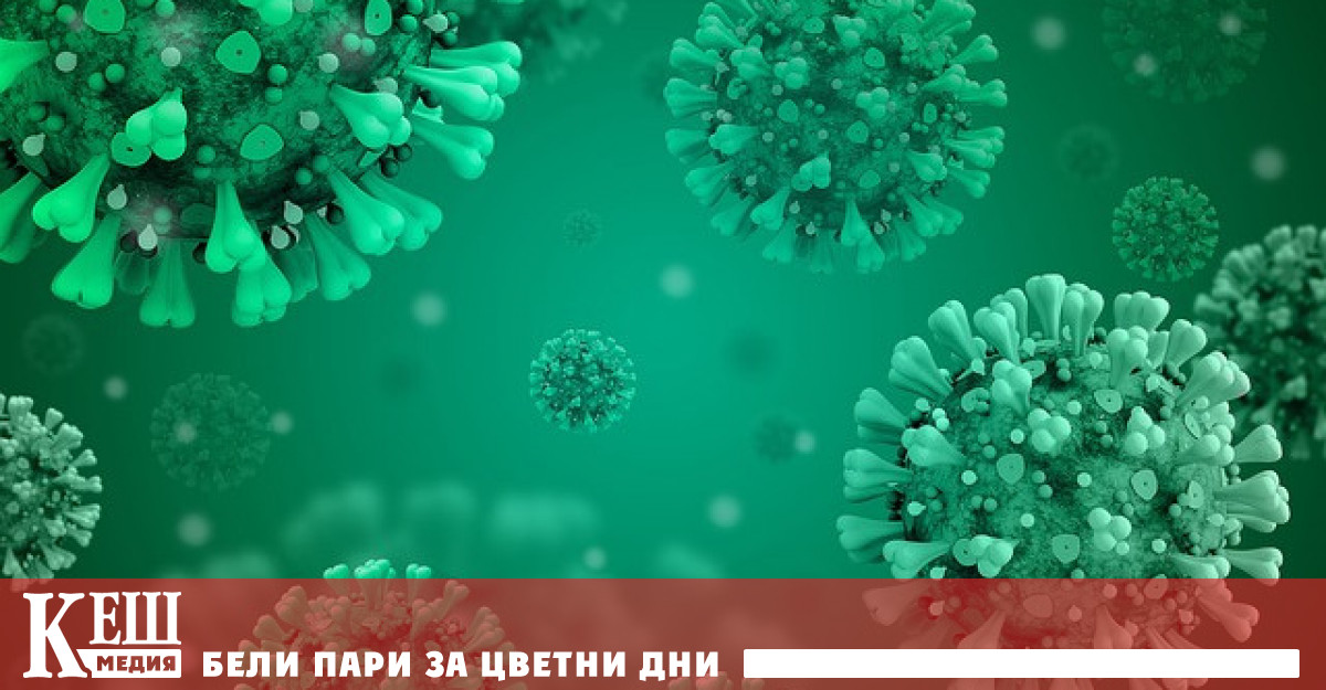 Учените са нарекли своята разработка DF COV 01 Това е молекула примамка за