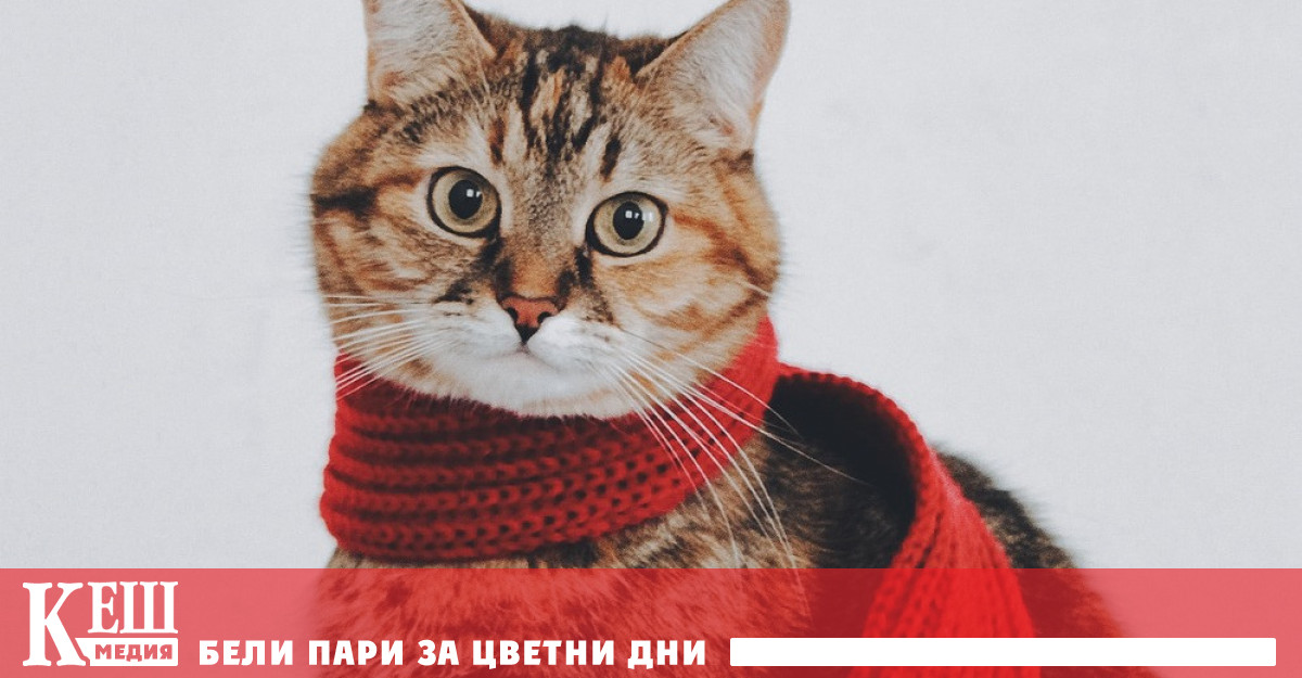 Ако работите от вкъщи през цялото или част от времето