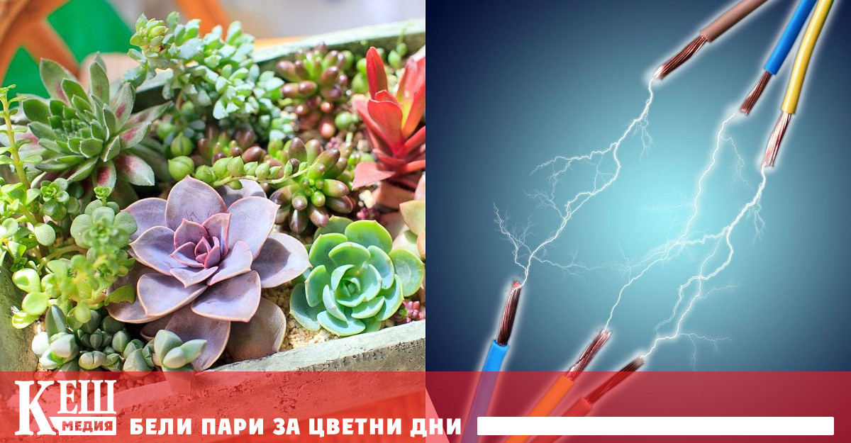 Светът преминава към възобновяеми енергийни източници – може би не