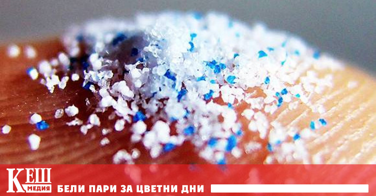 Експериментът е проведен в големия новозеландски град Оукланд С помощта на