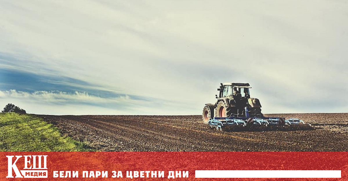 Според първата оценка на икономическите сметки за селското стопанство крайната