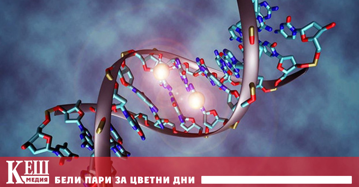 Резултатите от работата са публикувани на уебсайта на университета Много видове