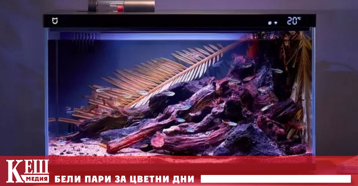 Платформата за краудфандинг Xiaomi Mall започна да събира пари за