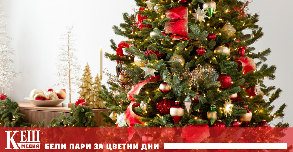 Не всяка елха стига до уютен дом Някои никога не