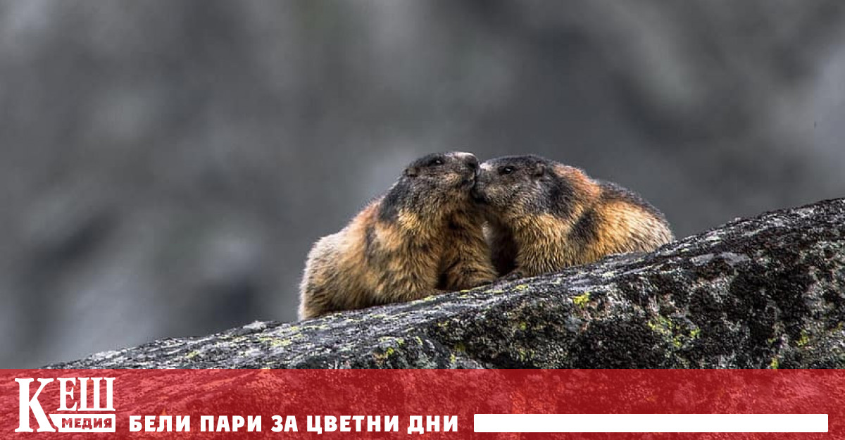 На своето последно за годината заседание Управителният съвет на Предприятието