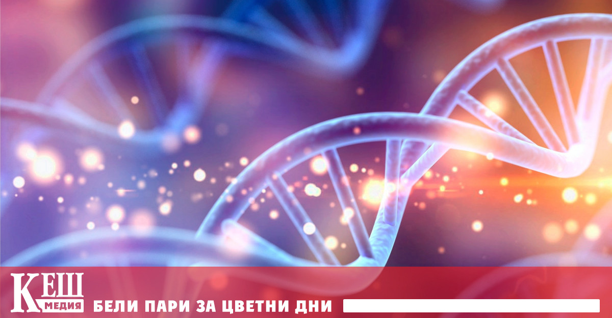 В гръцката митология химера е чудовище с глава на лъв