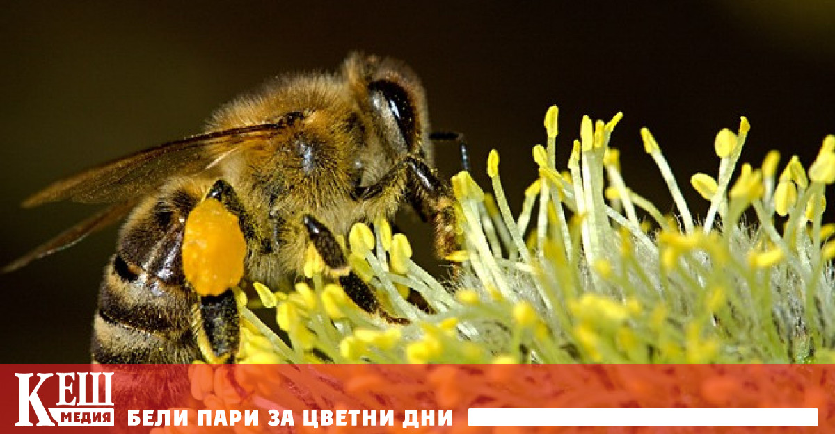 Министерството на земеделието на САЩ издаде условен лиценз за употребата