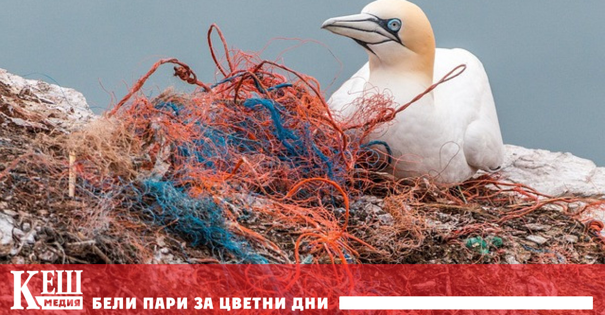 Това съобщава BBC Датата на влизане в сила на подобно