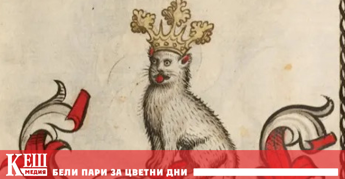 Котките са имали лоша репутация през Средновековието Техните предполагаеми връзки