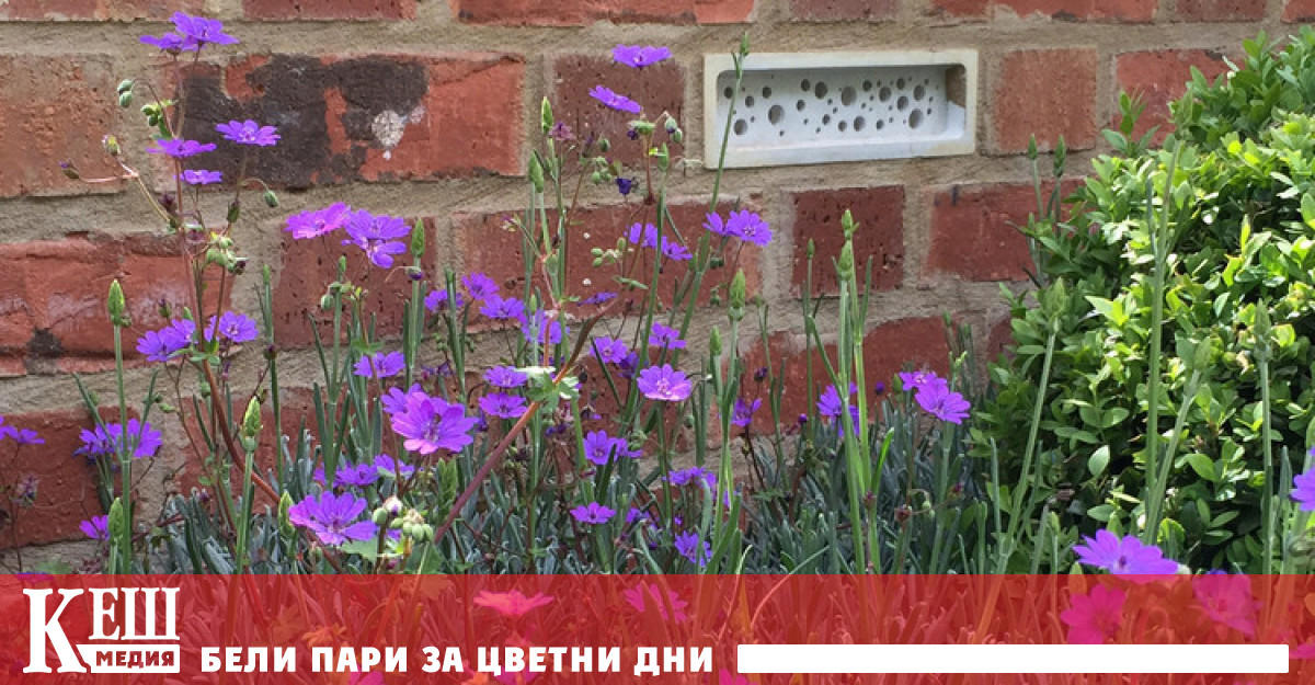 За разлика от природата с нейните меандри и безброй възможности