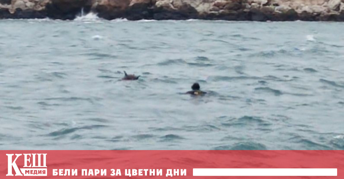 Около 11 30 ч мината е забелязана на 200 метра от