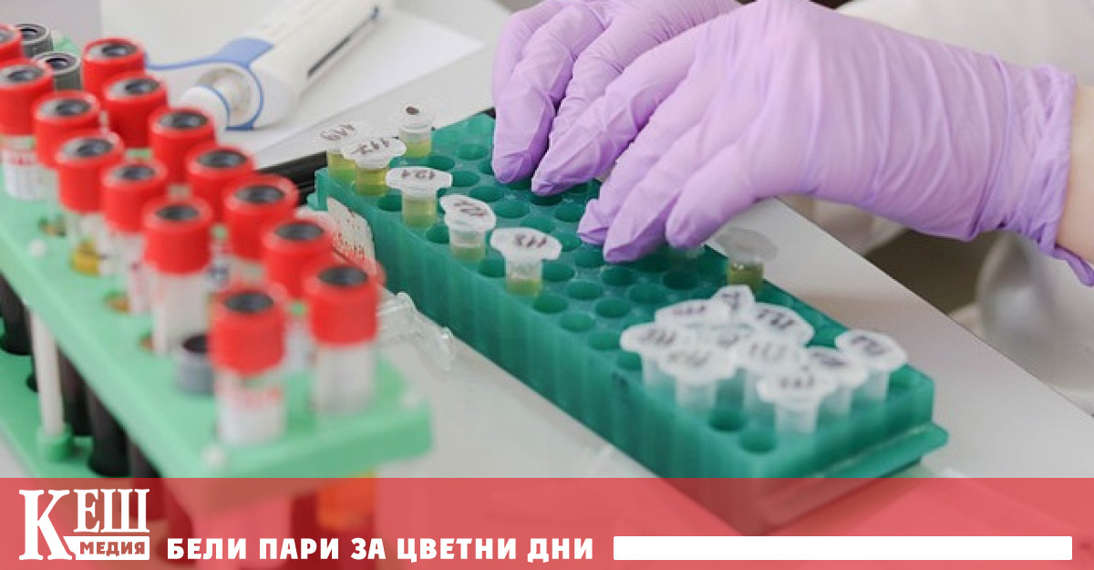 Това се твърди в доклада на Международната федерация на дружествата