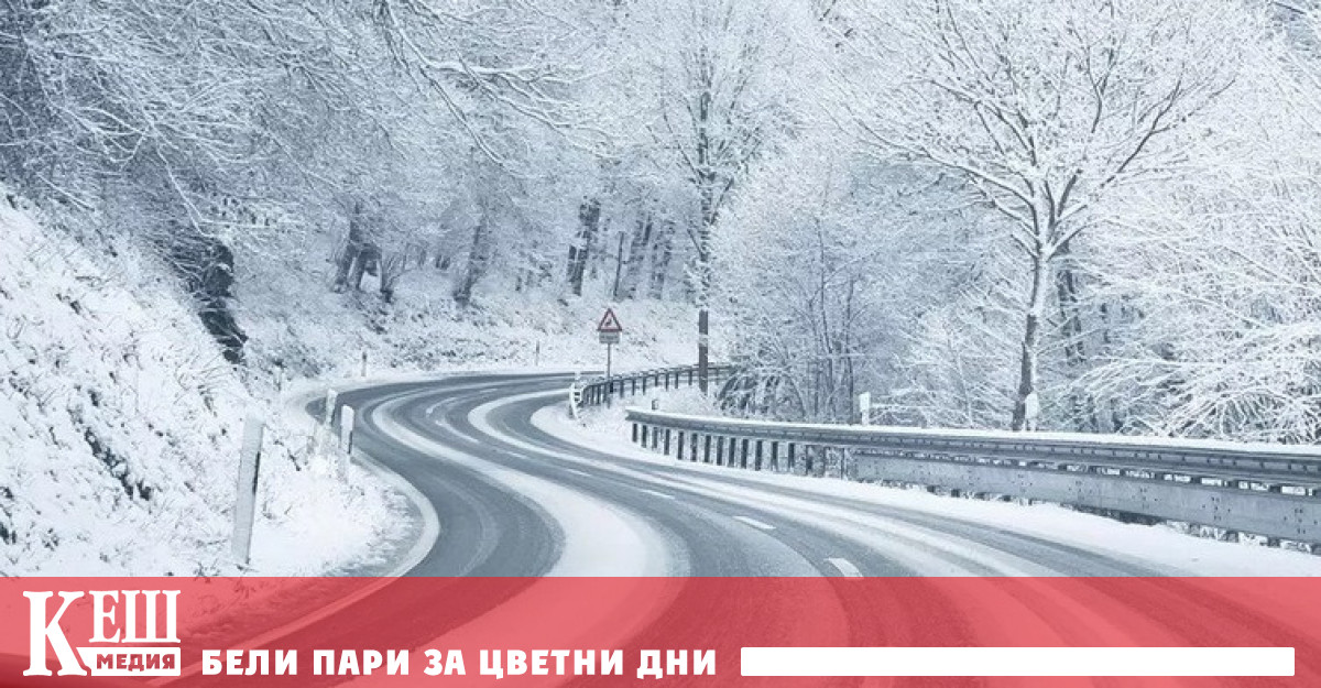 Дърветата и зелените растения които са във водата или на