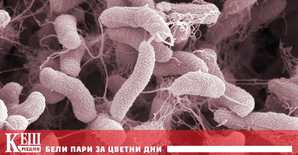 Световната здравна организация СЗО обяви много висок риск от разпространение