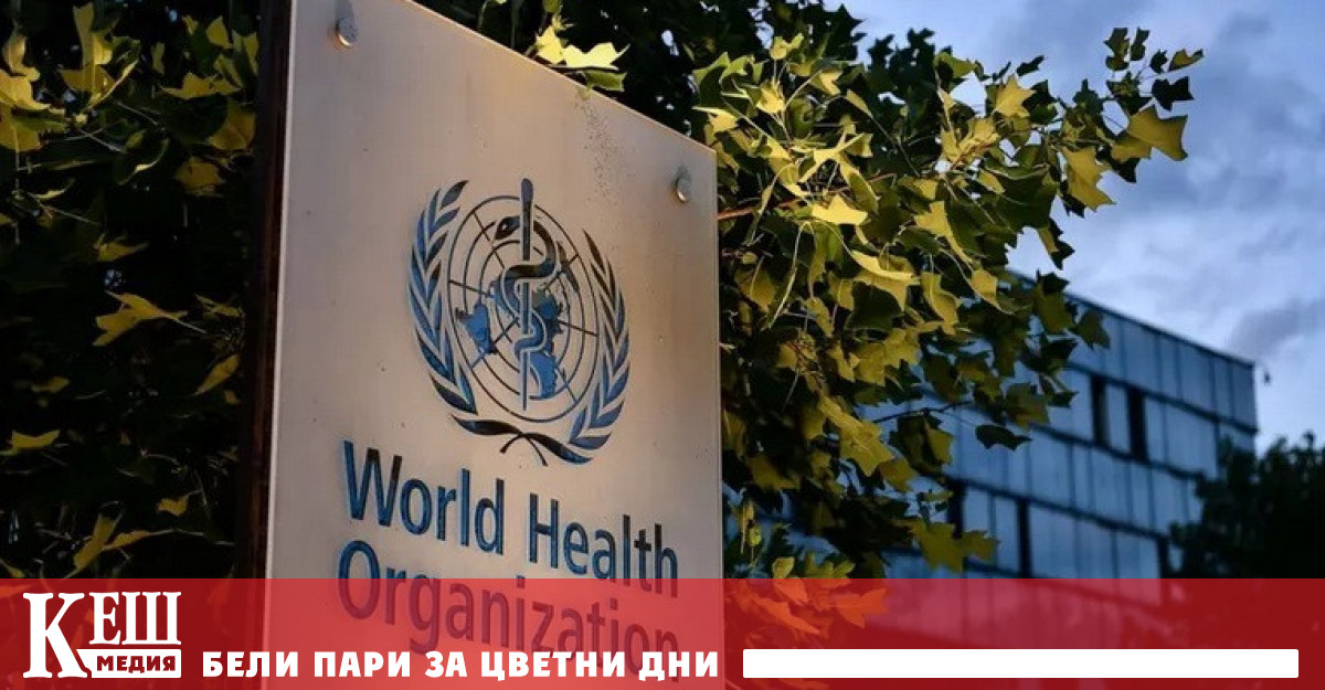 Ръководителят на екипа по холера и епидемични диарийни заболявания на