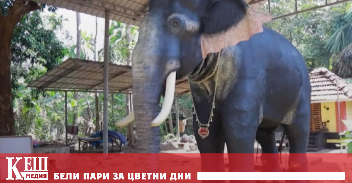 Слонът-робот е дарение за храма от организацията Хора за етично