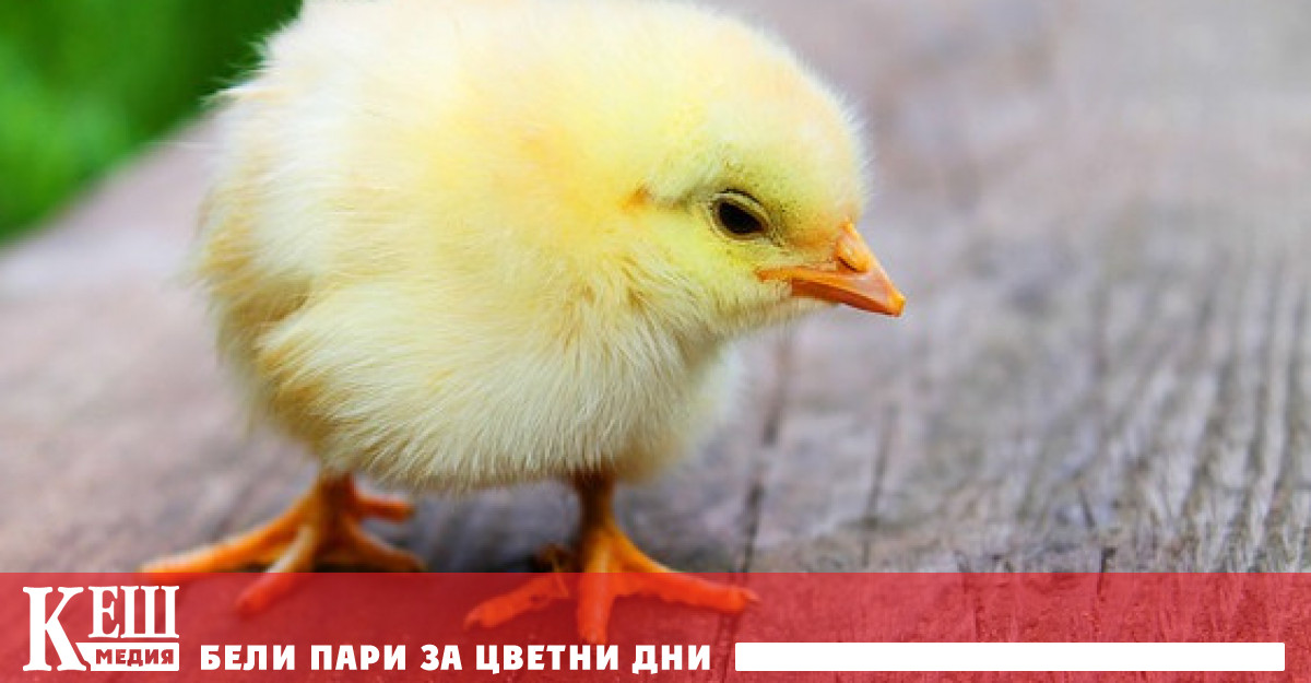 Глобалната общност трябва да се подготви за такъв сценарий каза