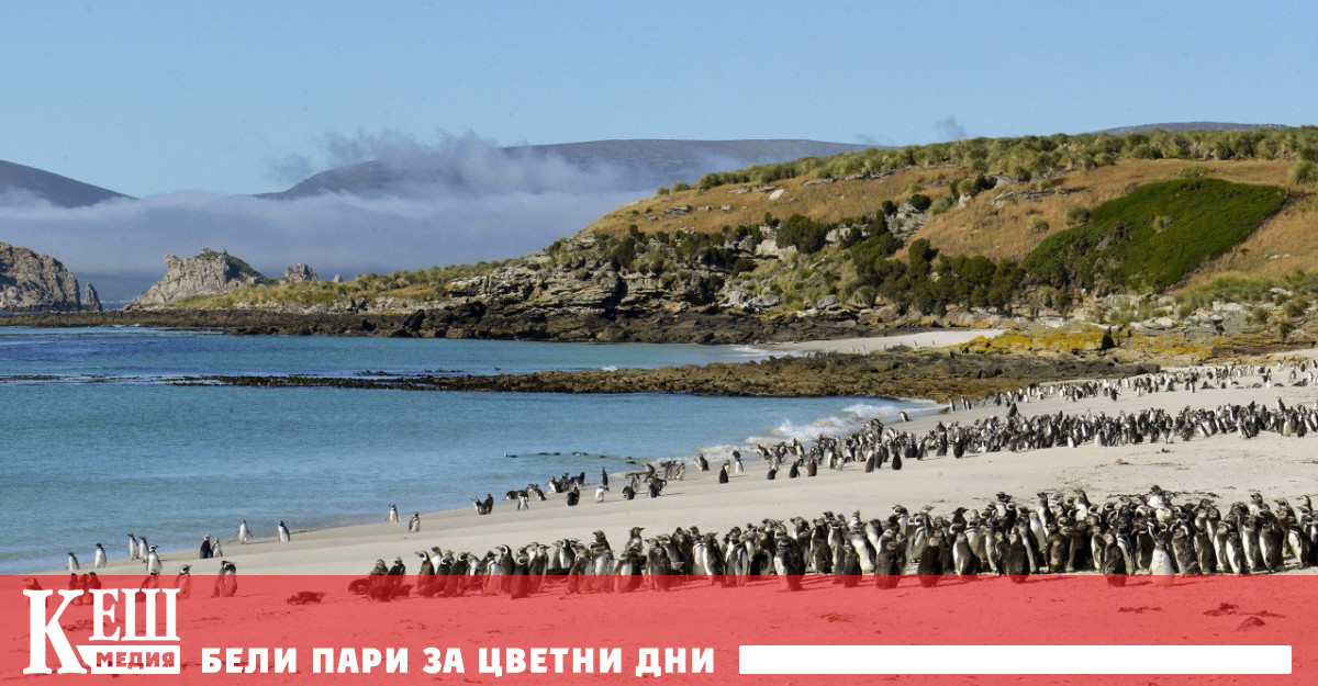 Искането за възобновяване на преговорите е последен епизод от дългогодишните