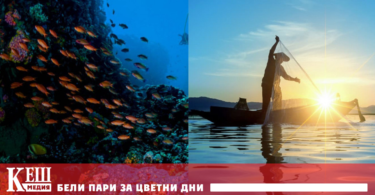 Финалната права на преговорите на няколко пъти едва се размина