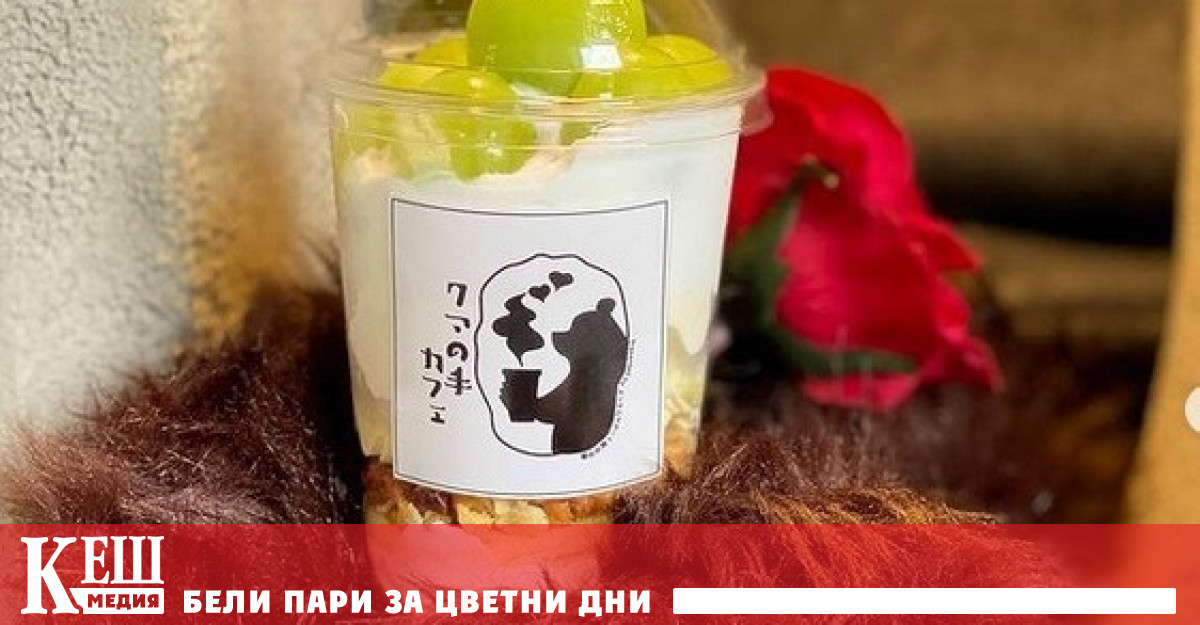 В Осака функционира кафе Kuma No Te 