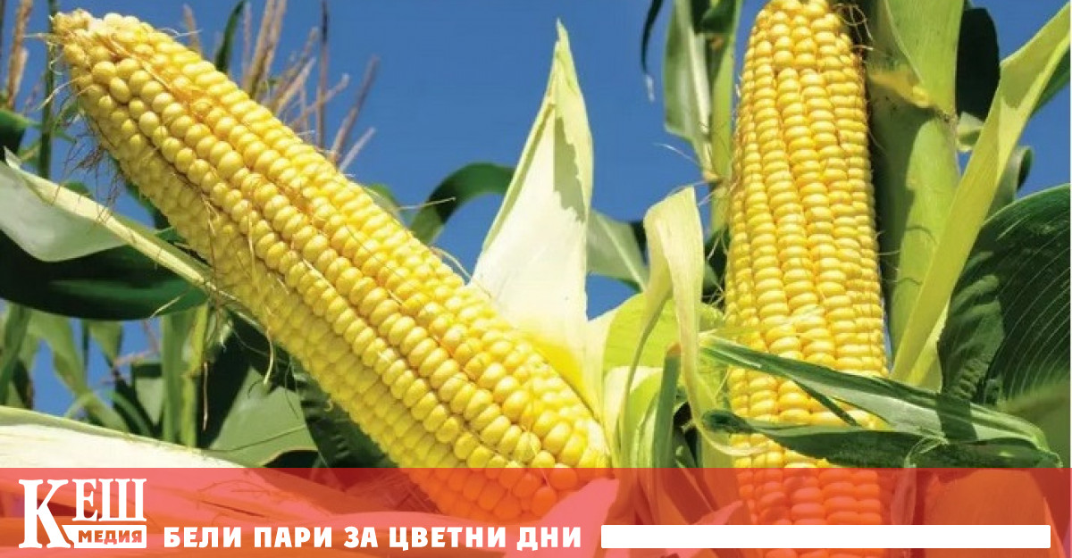 Група учени от университета на щата Пенсилвания САЩ са открили