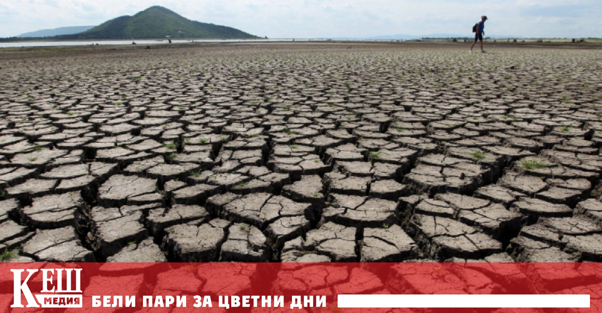 Човешката дейност влияе върху затоплянето на климата със скорост невиждана