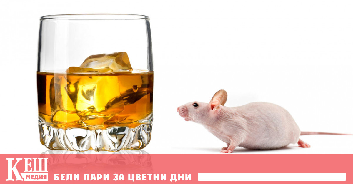 Хормонът наречен FGF21 привлича вниманието на учените от години Произвежда