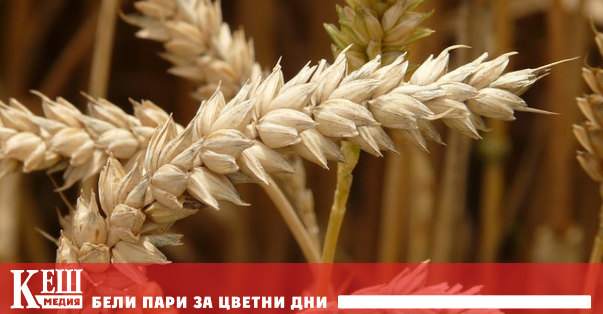 Заради успеха на маршрутите на солидарност за износ на украинско