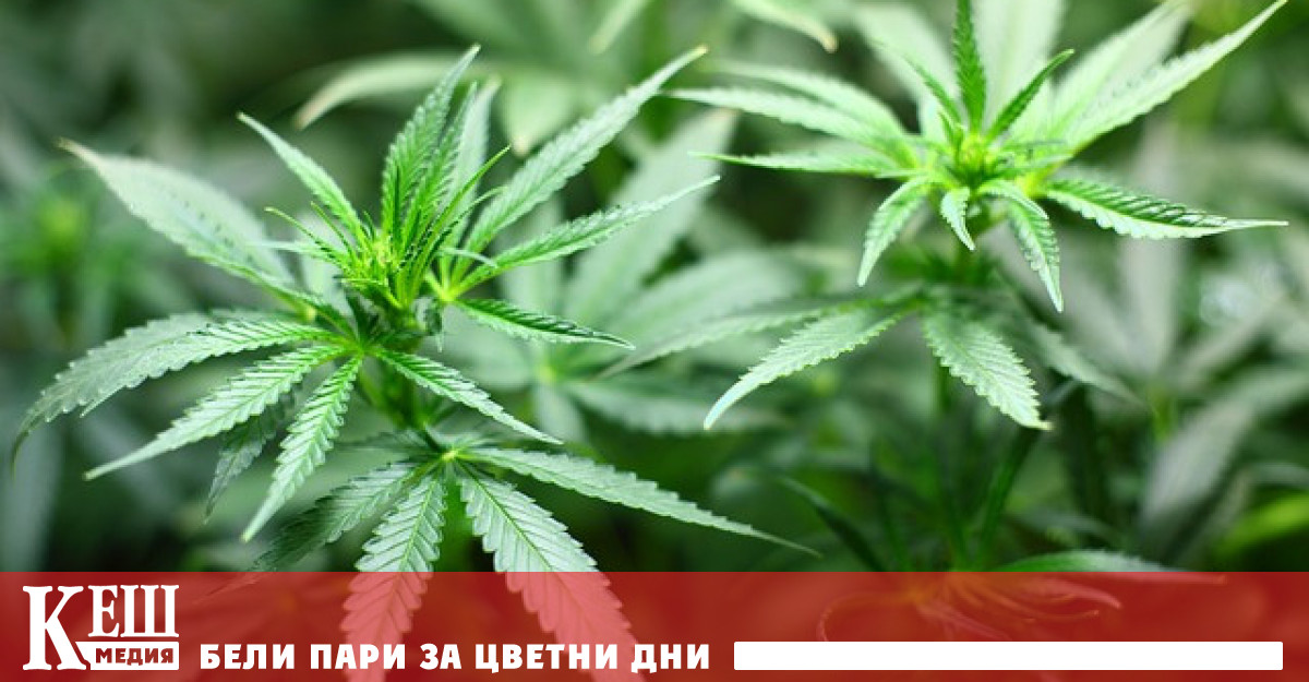 Планът за подобен експеримент е разработван от няколко години а