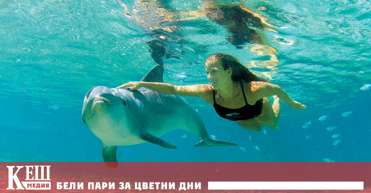 Плуването с делфини е популярно туристическо развлечение в Хавай но