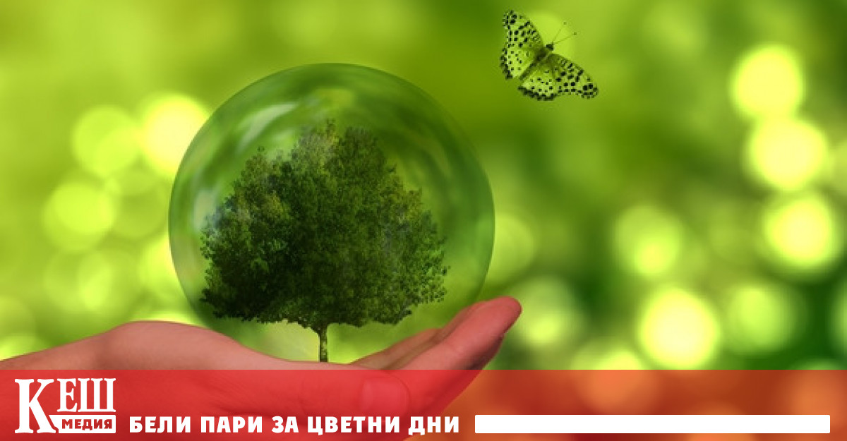 На един от необитаемите острови в Атлантическия океан бразилски геолози