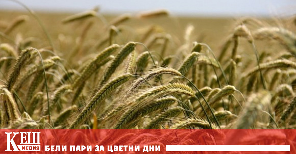 Агенцията отбелязва че след началото на конфликта в Украйна страните