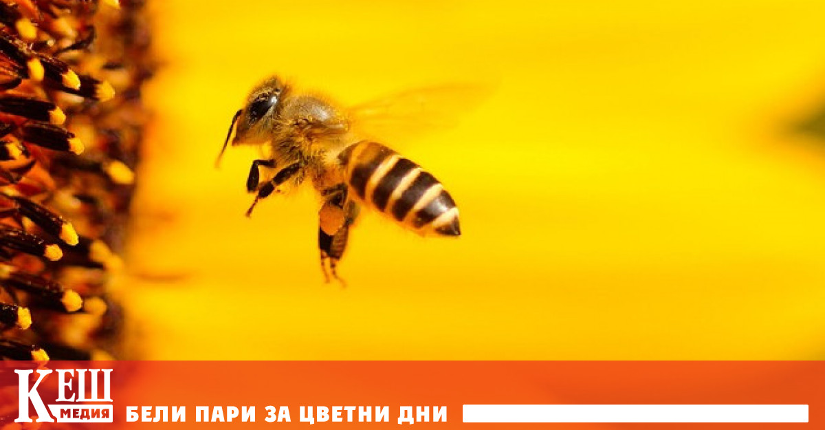 15 годишният изследователски проект който завърши през 2022 г се основава