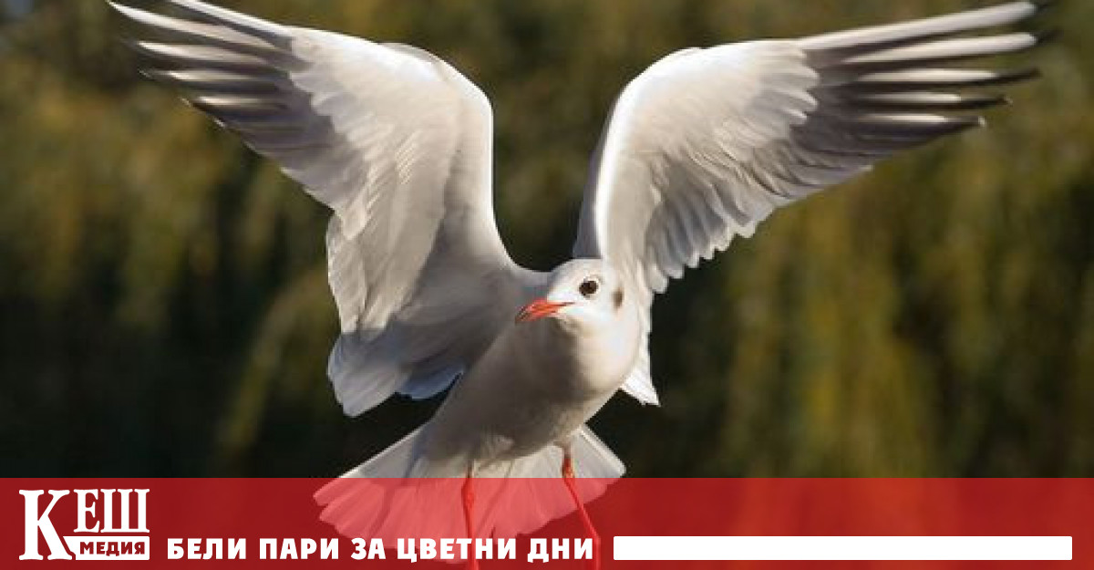 Окръжният съд на северния крайбрежен регион на Латвия Видземе призна